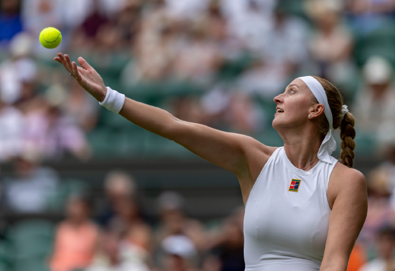 TIANBO- 田国富为什么不怕沙瑞金 